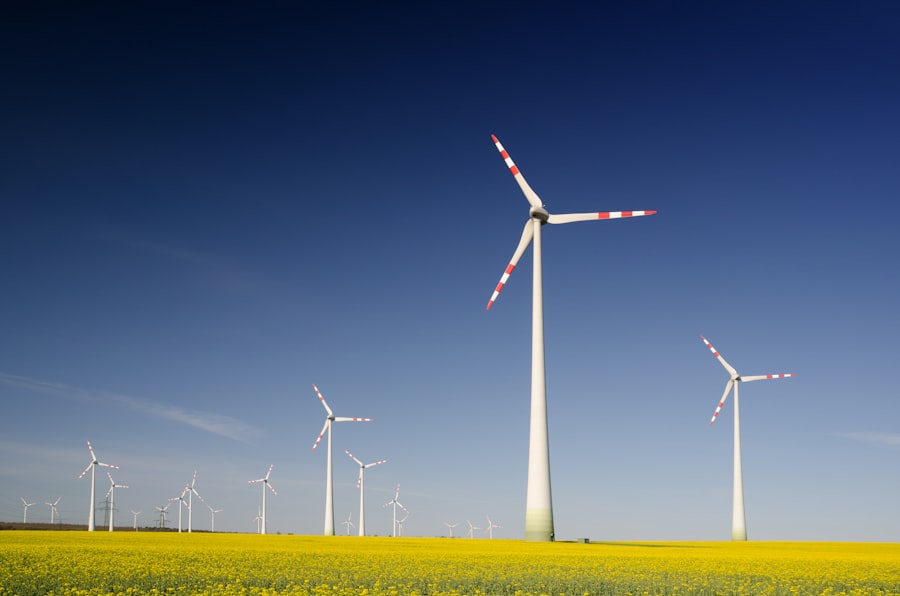 Photo sustainability